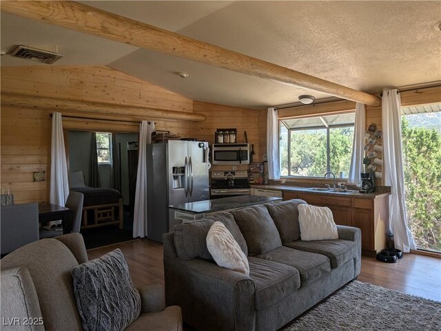 8075 Mount Wilson Ranch Rd, Pioche, NV 89043 - photo 24