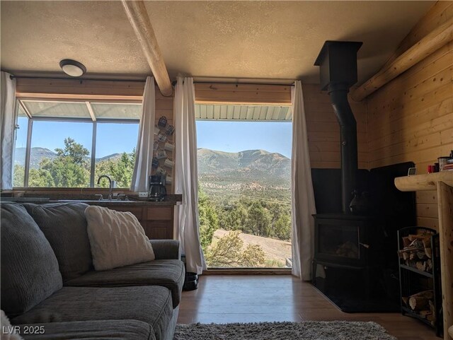 8075 Mount Wilson Ranch Rd, Pioche, NV 89043 - photo 25