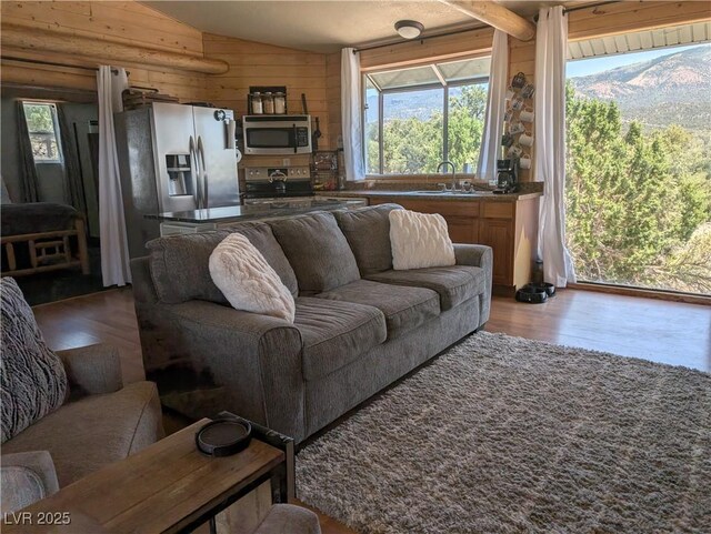 8075 Mount Wilson Ranch Rd, Pioche, NV 89043 - photo 26