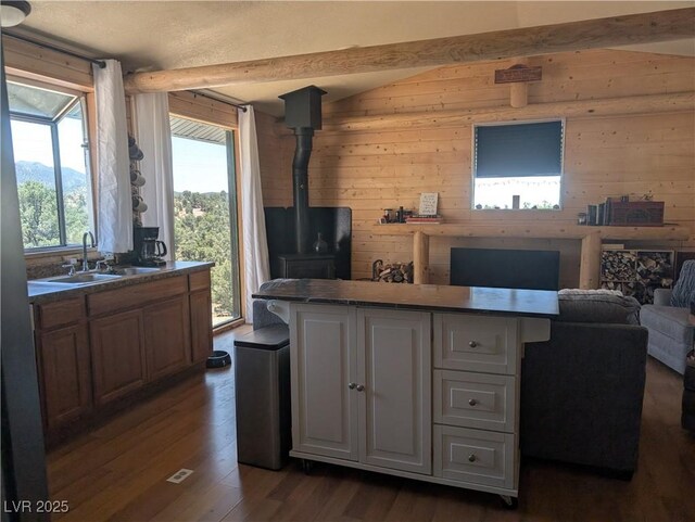 8075 Mount Wilson Ranch Rd, Pioche, NV 89043 - photo 29
