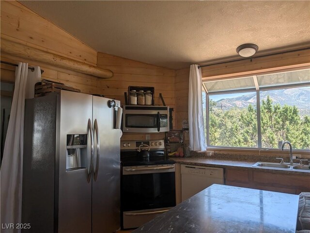 8075 Mount Wilson Ranch Rd, Pioche, NV 89043 - photo 30