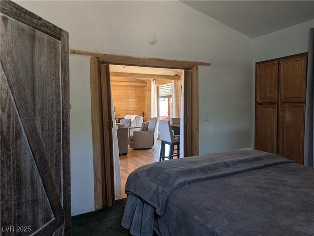 8075 Mount Wilson Ranch Rd, Pioche, NV 89043 - photo 34