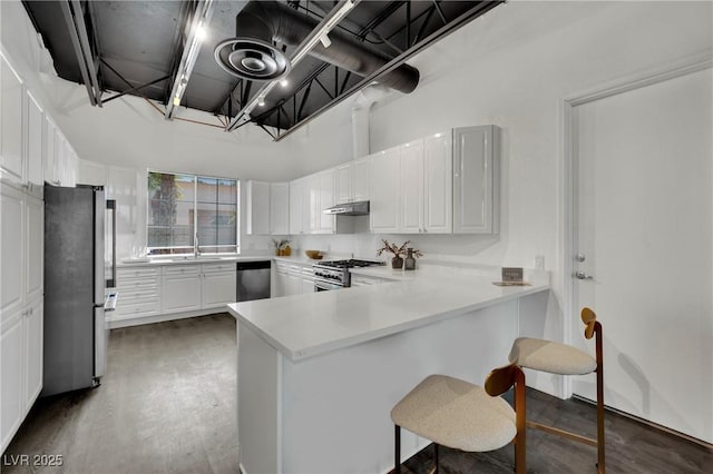 5015 Thunder River Cir, Las Vegas, NV 89148 - kitchen with stainless steel appliances, under cabinet range hood, a peninsula, white cabinetry, and a breakfast bar area