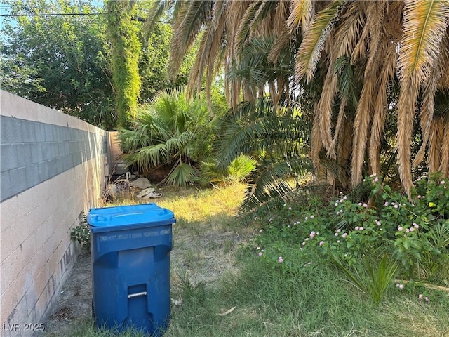 4928 E Philadelphia Ave, Las Vegas, NV 89104 - view of yard