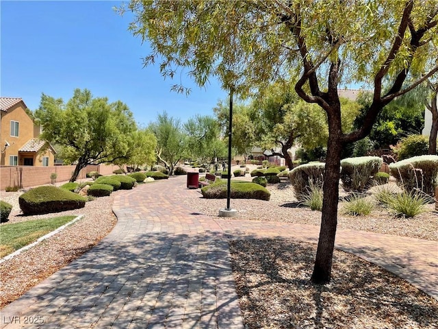 1169 Via Piazza, Henderson, NV 89052 - photo 10