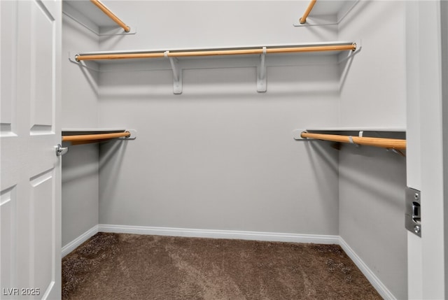 2175 Limestone Cove Ct, Laughlin, NV 89029 - spacious closet with carpet