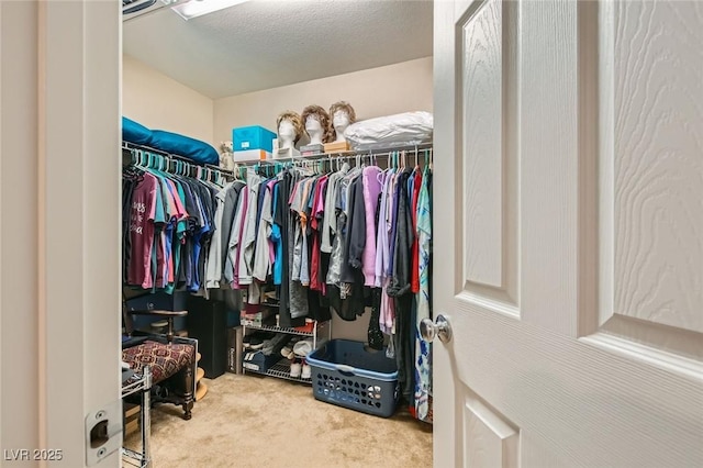 7224 Piute Mesa St, North Las Vegas, NV 89084 - walk in closet featuring carpet flooring