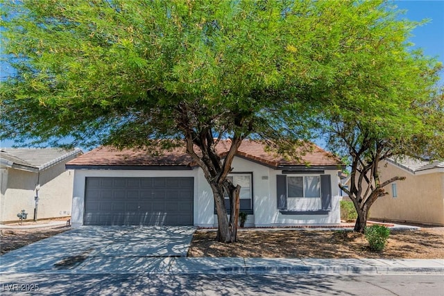2112 Hollow Oak Ave, North Las Vegas, NV 89031 - photo 40