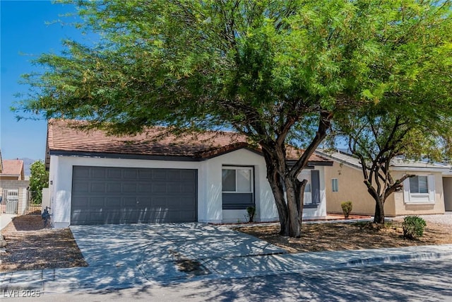 2112 Hollow Oak Ave, North Las Vegas, NV 89031 - photo 2