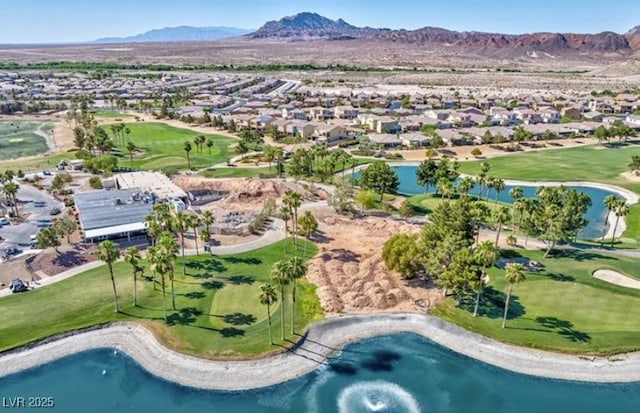 1004 Viale Placenza Pl, Henderson, NV 89011 - photo 40