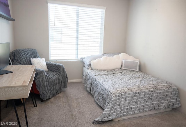 7411 Sunray Point St, North Las Vegas, NV 89084 - photo 10