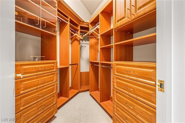 2877 Paradise Rd Unit 702, Las Vegas, NV 89109 - spacious closet with light colored carpet