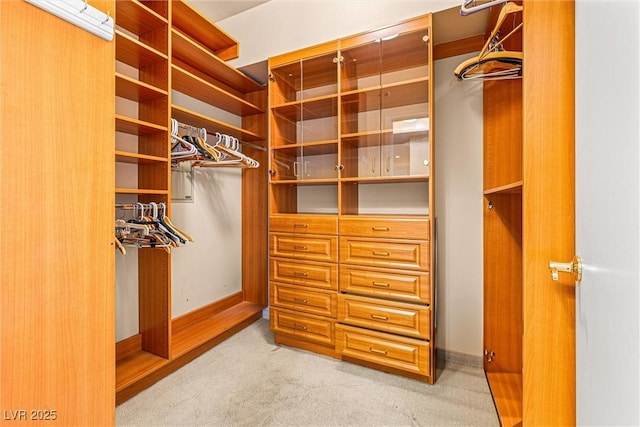 2877 Paradise Rd Unit 702, Las Vegas, NV 89109 - walk in closet with carpet floors