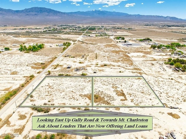 1791 W Gally Rd, Pahrump, NV 89060 - photo 10