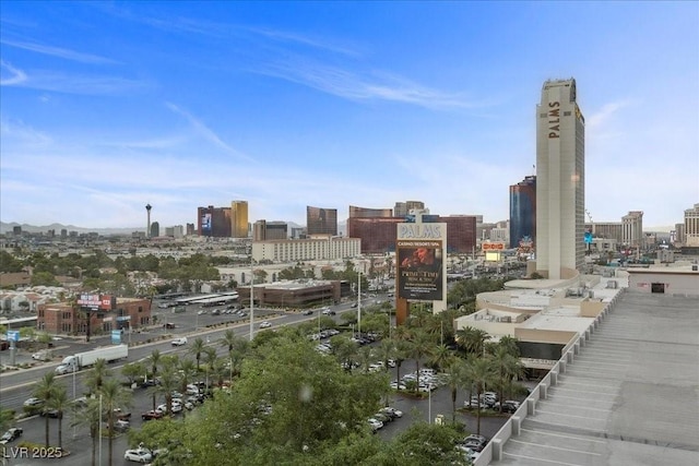 4381 E Flamingo Rd Unit 10304, Las Vegas, NV 89103 - photo 13