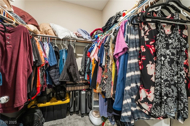 2861 Sunflower Days Ave Unit 1144, North Las Vegas, NV 89031 - walk in closet featuring carpet floors