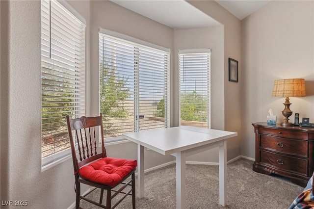 10428 Villa Ridge Dr, Las Vegas, NV 89134 - photo 41