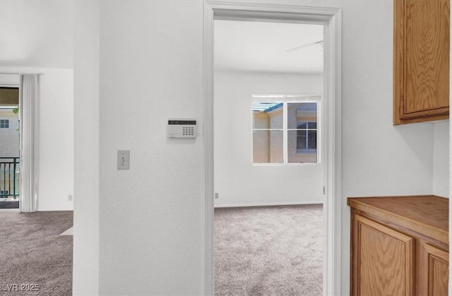 5155 W Tropicana Ave Unit 2017, Las Vegas, NV 89103 - hall featuring carpet floors