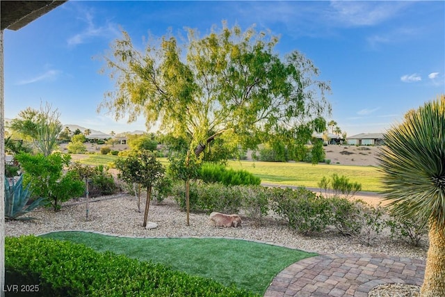 10400 Premia Pl, Las Vegas, NV 89135 - photo 56