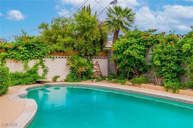 3499 Middlebury Ave, Las Vegas, NV 89121 - view of pool with a fenced backyard