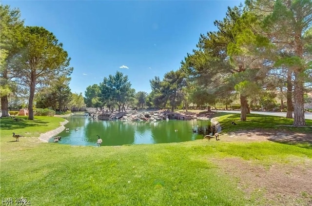 9937 Whalers Landing Ct, Las Vegas, NV 89117 - photo 38