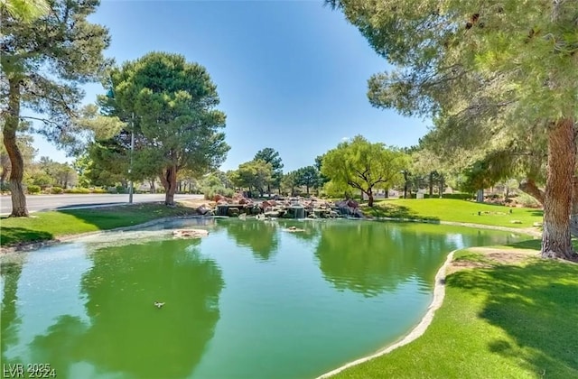 9937 Whalers Landing Ct, Las Vegas, NV 89117 - photo 39