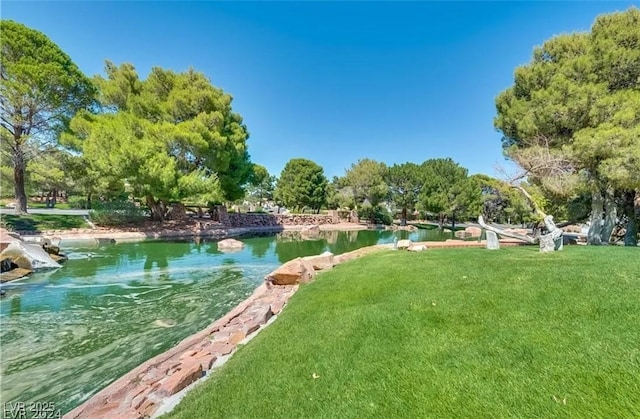 9937 Whalers Landing Ct, Las Vegas, NV 89117 - photo 40
