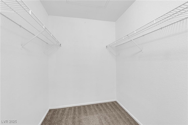 3182 Tarpon Dr Unit 204, Las Vegas, NV 89120 - photo 14