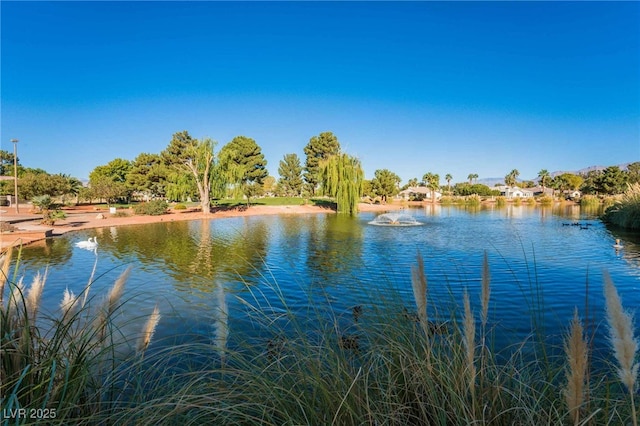 4909 Desert Poppy Dr, Las Vegas, NV 89130 - water view