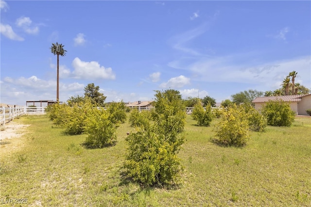 825 W Ryan Ave, Overton, NV 89040 - view of yard