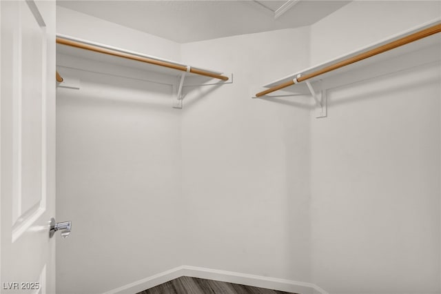 23 E Agate Ave Unit 308, Las Vegas, NV 89123 - walk in closet featuring dark wood finished floors