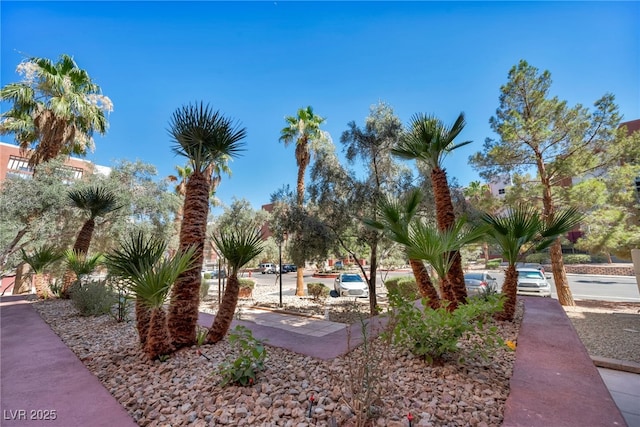 23 E Agate Ave Unit 308, Las Vegas, NV 89123 - view of property's community