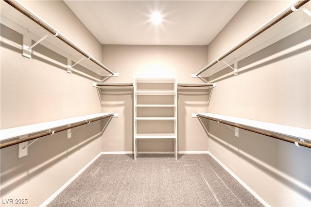 4206 Topaz Hills Dr, North Las Vegas, NV 89032 - walk in closet featuring carpet