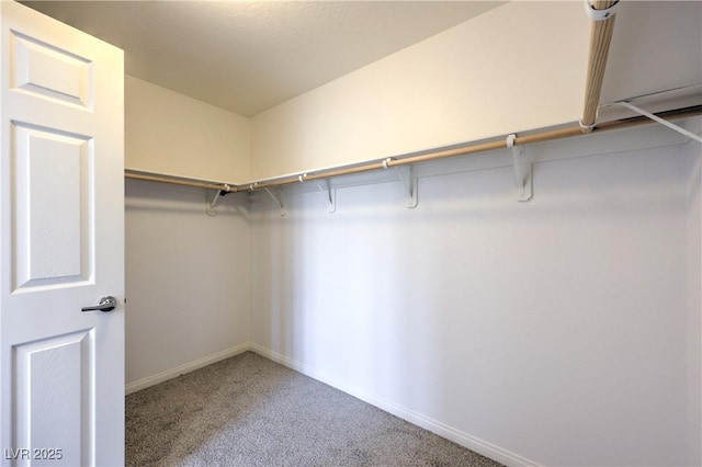 2300 Sky Island Dr, Henderson, NV 89002 - spacious closet with carpet flooring