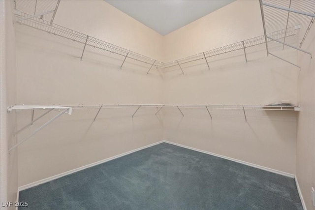 745 Diamond Bend Ave, Las Vegas, NV 89123 - spacious closet featuring dark carpet