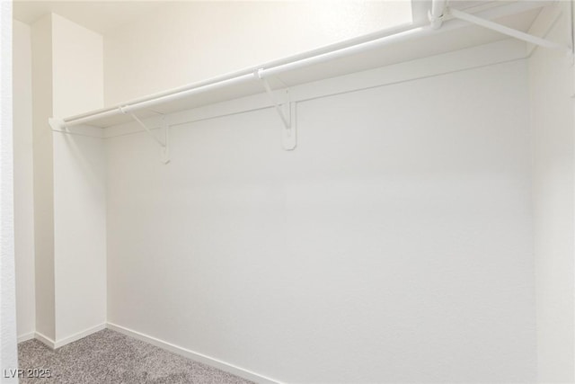 5402 Shady Lair Ct, North Las Vegas, NV 89031 - spacious closet with light colored carpet