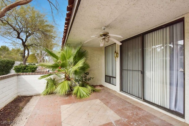 4687 Madreperla St, Las Vegas, NV 89121 - photo 26