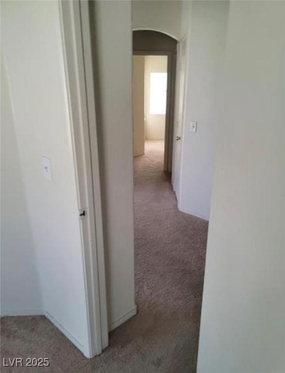 5969 High Steed St Unit 101, Henderson, NV 89011 - photo 29