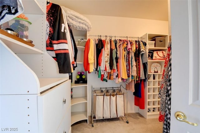 98 Milicity Rd, Henderson, NV 89012 - walk in closet featuring carpet