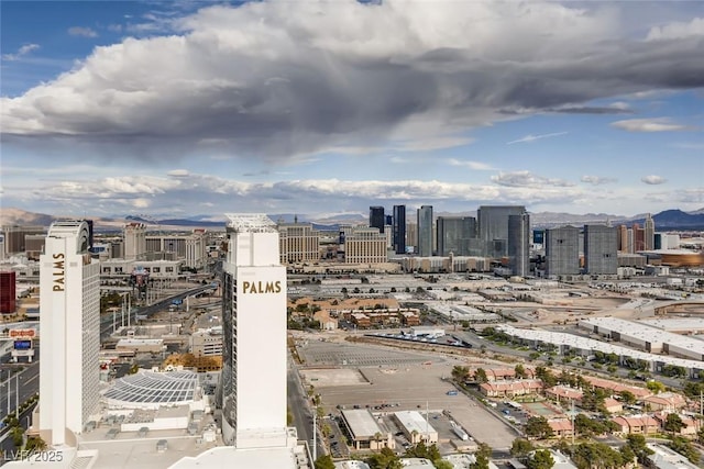 4381 W Flamingo Rd Unit 5220, Las Vegas, NV 89103 - photo 27