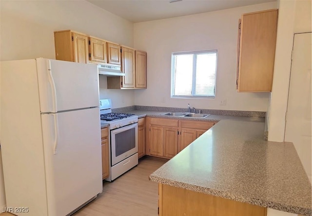 5650 E Sahara Ave Unit 2007, Las Vegas, NV 89142 - kitchen featuring white appliances, under cabinet range hood, light brown cabinetry, and light wood-style floors
