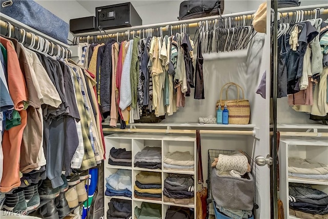 1113 Fragrant Cactus Ct, North Las Vegas, NV 89031 - view of walk in closet