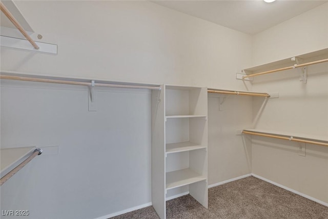 4713 Guma Way N, Las Vegas, NV 89031 - walk in closet featuring carpet flooring