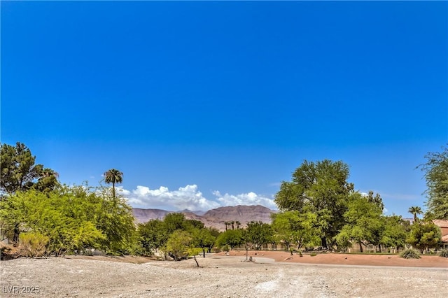 7772 Buckwood Ct, Las Vegas, NV 89149 - photo 37