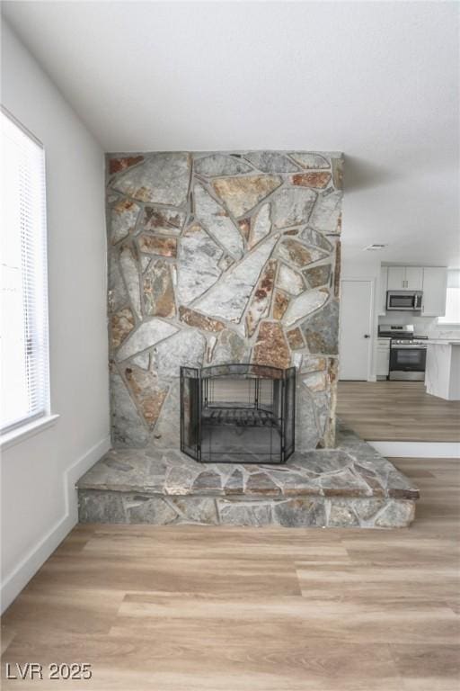 4269 Roanridge Ave, Las Vegas, NV 89120 - detailed view of stainless steel appliances, wood finished floors, and a fireplace
