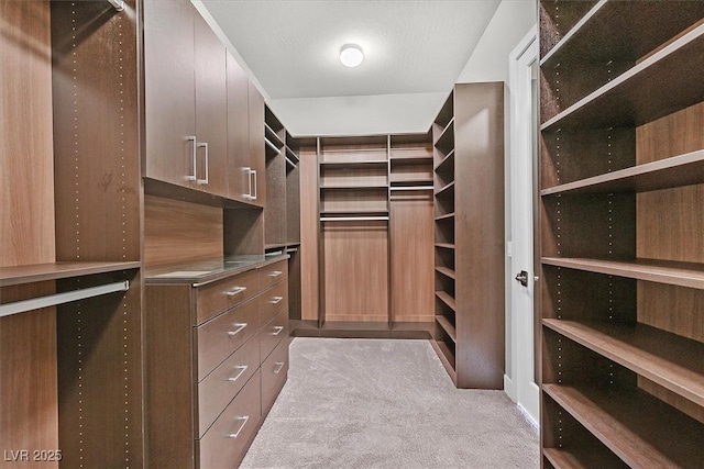 2170 Monte Bianco Pl, Henderson, NV 89044 - walk in closet with carpet flooring