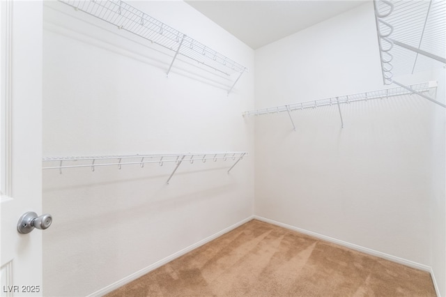 7317 Caballo Range Ave, Las Vegas, NV 89179 - photo 26