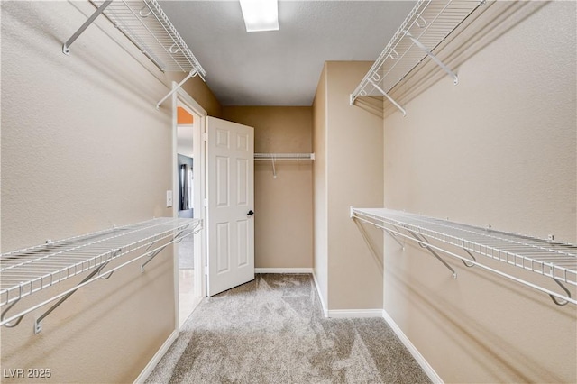 6569 Cedar Waxwing St, North Las Vegas, NV 89084 - photo 39