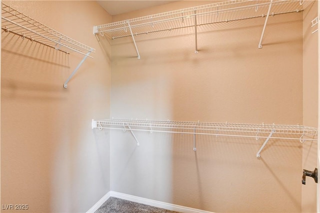 6569 Cedar Waxwing St, North Las Vegas, NV 89084 - photo 49