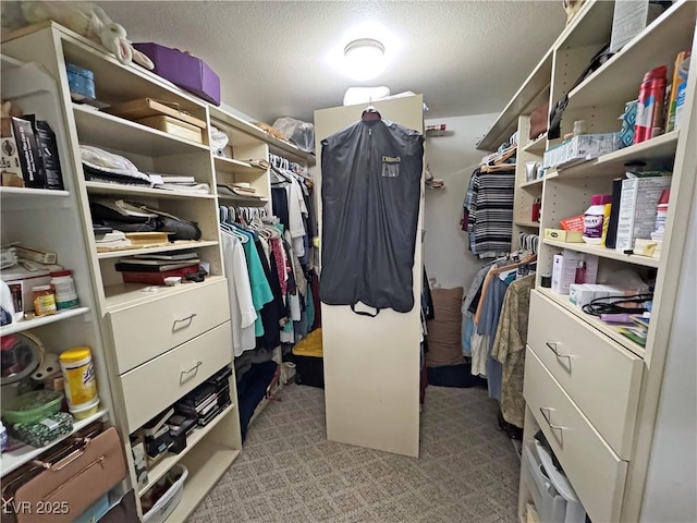 4910 Marywood Ct, Pahrump, NV 89061 - view of walk in closet